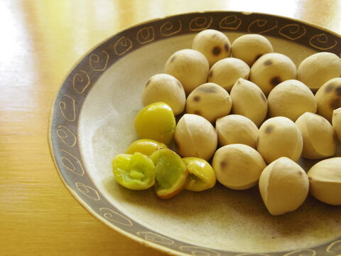 Roasted Ginkgo Nut (Sofue Ginkgo Nut) in Aichi Prefecture, Japan