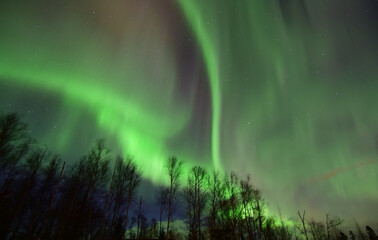 The aurora borealis brightens a dark Alaska winter night