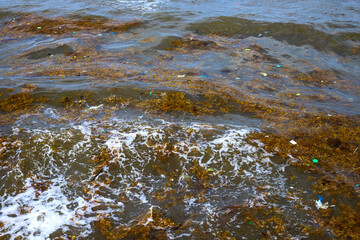 Sea water with waves, seaweed and garbage. Aquatic trash in sea. Plastic pollution in ocean. Environmental problem of human impact on nature. Garbage and weed in sea wave. Philippine island garbage