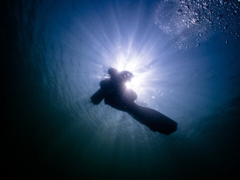 Diver sunball
