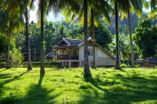 Sunny tropical landscape with palm trees and village house. Eco-friendly house in jungle forest. Philippines real estate market for expats and pensioners. Tropical house sunny view
