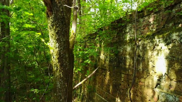 Ruins of grist mill in Columbia, Alabama