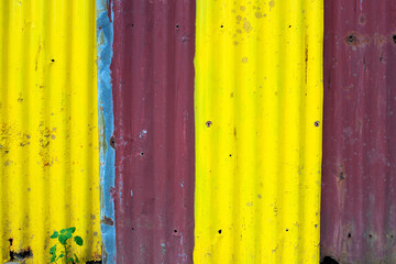 Yellow and purple metallic fence closeup, colorful material photo texture. Corrugated iron rustic surface closeup. Contrast outside wall for material design background. Construction site border.