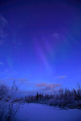 A pastel aurora borealis hovers over a snowy Alaska landscape as daybreak brightens the sky.
