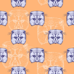 Abstract seamless pattern with hand drawn cat heads, vector illustration © Melek8