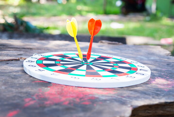 darts on the target