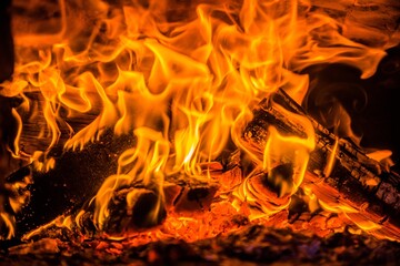 A few birch logs burning in the fireplace
