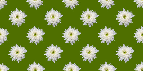 beautiful background with flowers seamless pattern with white chrysanthemum