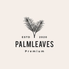 palm leaf leaves hipster vintage logo vector icon illustration
