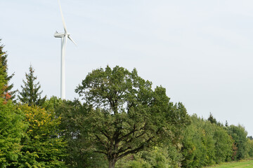 Fototapeta premium view of a modern windmill against a blue sky. The white blades of the wind turbine. Wind turbines in the forest away from the big city on a summer day. Clean and renewable energy production