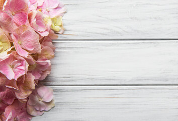 Pink hydrangea flowers on white wooden background