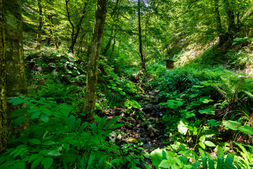 Outside restroom in forest for hikkers