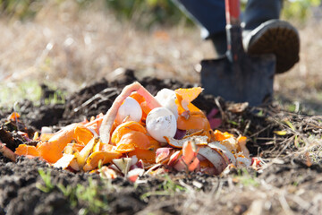 生ごみを土に埋める