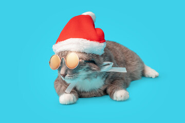 Funny cat in a Christmas Santa Claus hat and sunglasses on a blue background in the Studio. The concept of celebrating the new year party and fashoin accessories for pets