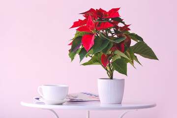 Christmas plant poinsettia, cup of coffee and magazine on table against color background