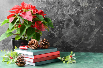 Christmas plant poinsettia, books and decor on table