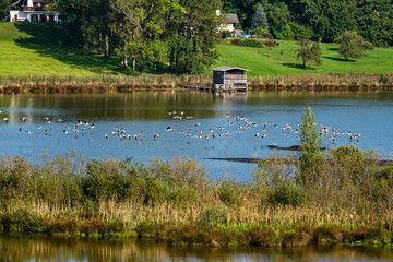 Lake and Nature Protection Area Egglburger See near Ebersberg, Bavaria, Germany