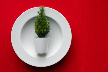 Small Christmas tree in a white plate on a red background. New Year's dishes. Copyspace.