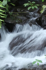 heavy water flow in a forest