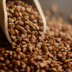 Scoop and buckwheat macro view on rustic background. Close up raw buckwheat background. gluten free ancient grain for healthy diet, selective focus