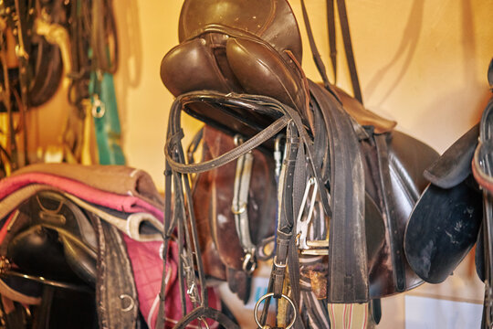 Saddle and all horse harness.close-up.