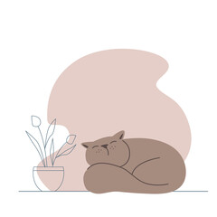 Cute funny fat cat sleeping next to the house plant. Vector nice pet.  and abstract flower.