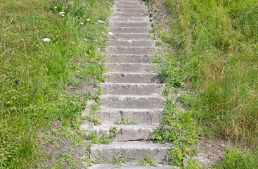 Old concrete overgrown with grass stairs