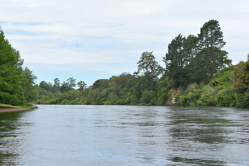 Fototapeta na wymiar View of Waikato River from Hamilton Gardens