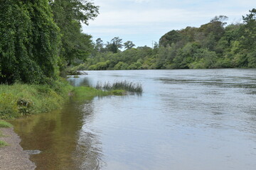 View of Waikato River from Hamilton Gardens
