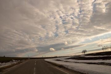 Fototapeta premium 早春の道路と丘に立つ木立 