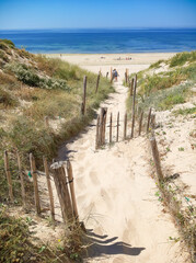 Fototapeta na wymiar Ile de Ré, Côte Atlantique