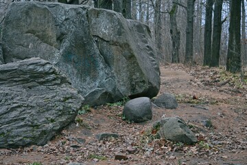 Large stones of an abstract form in a dark autumn forest.
