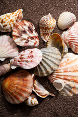 Overhead view of Summer concept with sea shells on sand