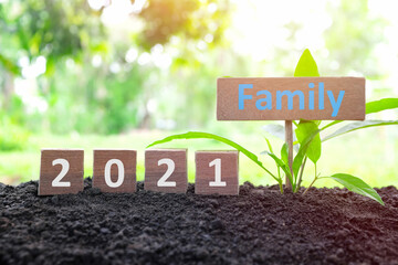 Year 2021 investing on family and health insurance as priority concept. Wooden blocks 2021 with plant at sunrise on natural background.