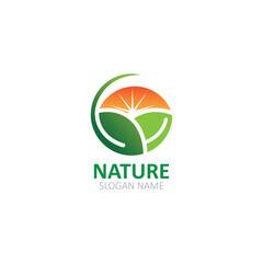 Nature logo Image green tropical leaves illustration design