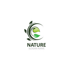 Nature logo Image green tropical leaves illustration design