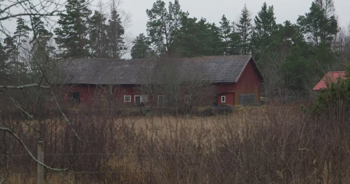 Abandoned old barn house in rural Swedish forest, panning slow motion