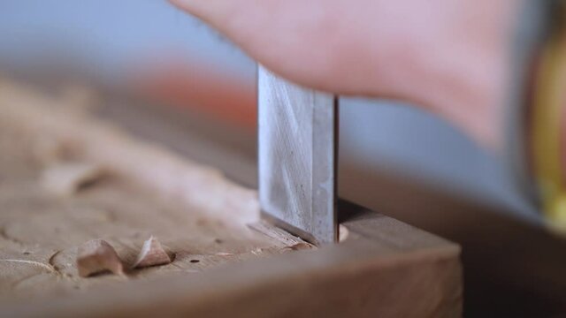 macro. a woodcarver makes a wooden tray. The craftsman processes the walnut board with a flat impact chisel