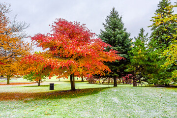 Naklejka premium Rosemary S. Argus Friendship Park in Des Plaines Town of Illinois