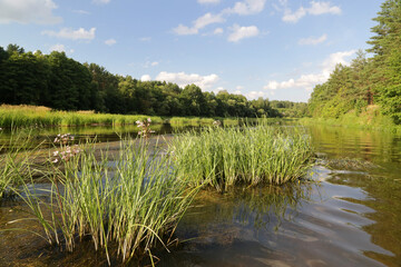 Summer ride in sunny weather on the river Viliya, Belarus