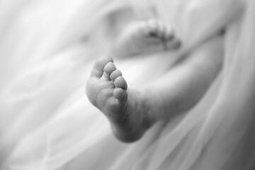 newborn baby feet