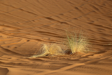 Sand dunes in the Sahara Desert near the village of Merzouga in Morocco.