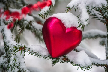 Ein Herz mit Schnee an einem Weihnachtbaum im Wald Fichte