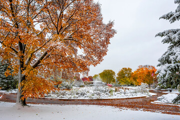 Rosemary S. Argus Friendship Park in Des Plaines Town of Illinois