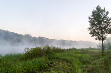 Fototapeta na wymiar In a river landscape with nature morning with fog