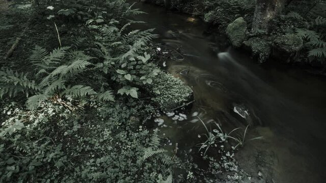 Atmospheric moody time lapse video of small river in the forest. Southern Norway