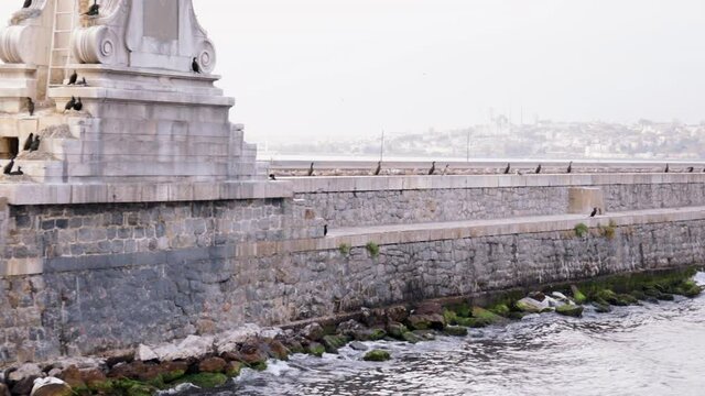 Slow motion video shot of a monument built as a groyne and different types of birds sitting on the wall with city silhouette at the background.