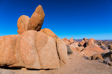 Joshua Tree National Park, California, USA