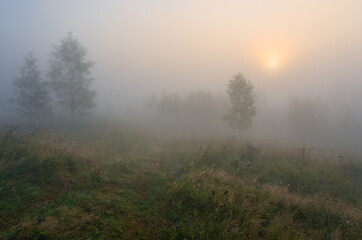 Fototapeta na wymiar Sun through the mist