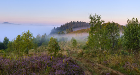 Foggy morning on the hills